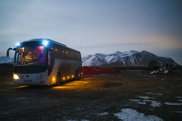 Professional travel service